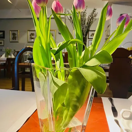 Otel Rejs 4*