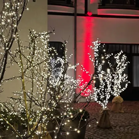 Hotel Rejs Stolpmünde