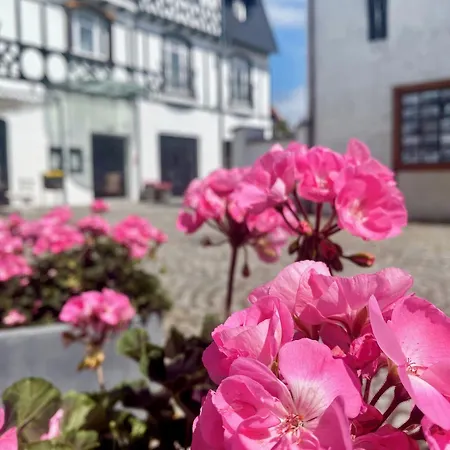 Rejs Hotel